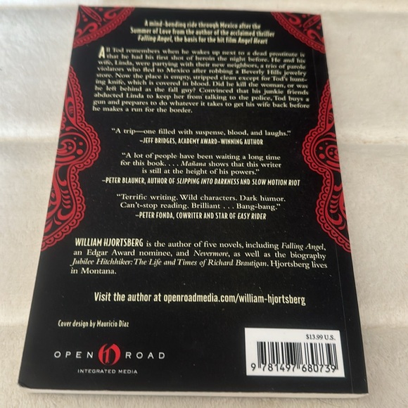 🧚‍♀️3/$12🧚‍♀️Mystery. Mañana - Picture 3 of 4